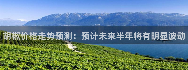 辉达娱乐体育官网注册：胡椒价格走势预测：预计未来半年将有明显波动