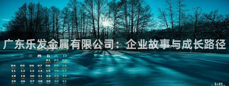 辉达娱乐3注册：广东乐发金属有限公司：企业故事与成长路径