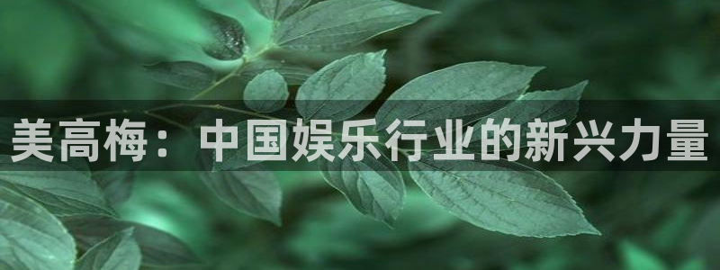 辉达娱乐3登录：美高梅：中国娱乐行业的新兴力量