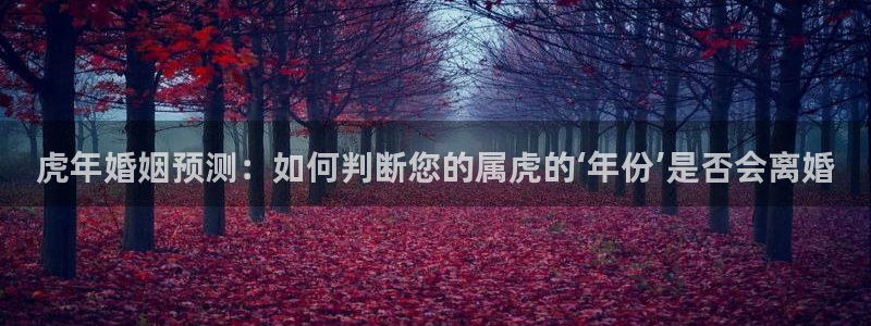 辉达娱乐平台：虎年婚姻预测：如何判断您的属虎的‘年份’是否会离婚