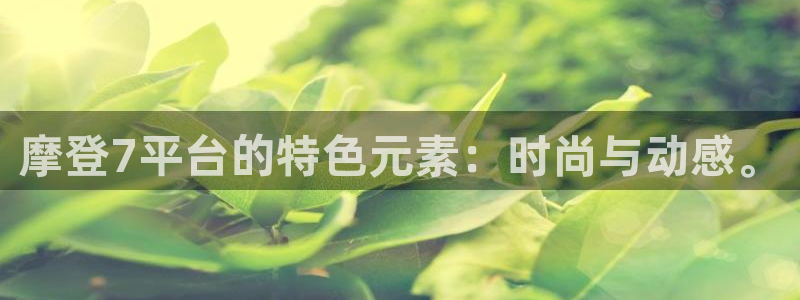辉达娱乐体育平台登录入口：摩登7平台的特色元素：时尚与动感。