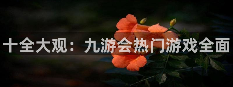 辉达娱乐预测在线预测：十全大观：九游会热门游戏全面