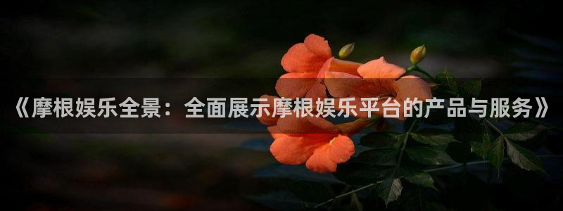 辉达娱乐体育注册平台：《摩根娱乐全景：全面展示摩根娱乐平台的产品与服务》