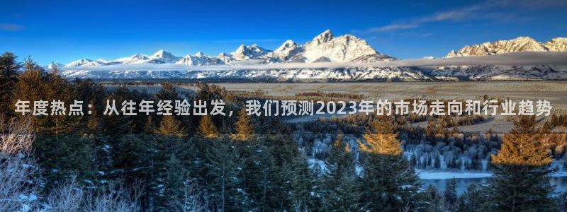 辉达娱乐体育网页版入口：年度热点：从往年经验出发，我们预测2023年的市场走向和行业趋势