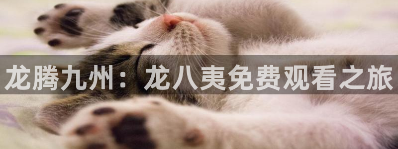 辉达娱乐体育平台开号链接：龙腾九州：龙八夷免费观看之旅