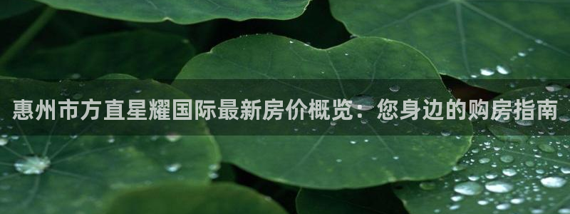 辉达娱乐.ccm：惠州市方直星耀国际最新房价概览：您身边的购房指南