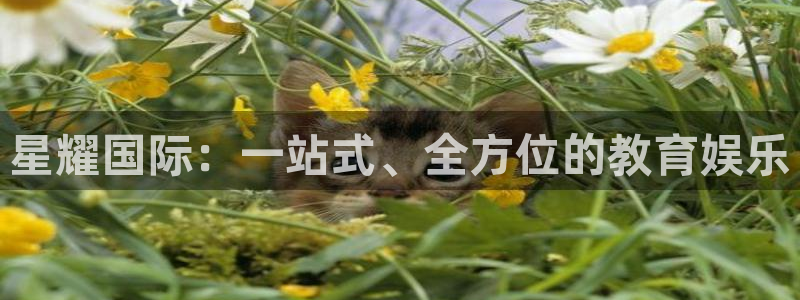 福建辉达娱乐机电股份公司：星耀国际：一站式、全方位的教育娱乐