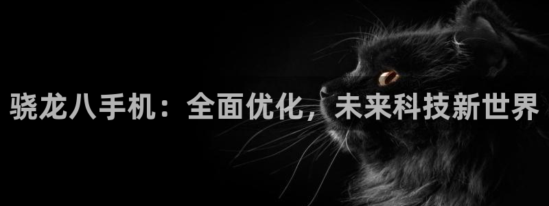 辉达娱乐分红代理计划：骁龙八手机：全面优化，未来科技新世界