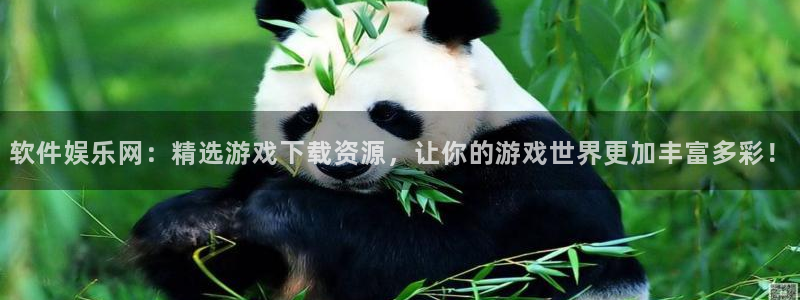 辉达娱乐app哪个模式容易赢：软件娱乐网：精选游戏下载资源，让你的游戏世界更加丰富多彩！