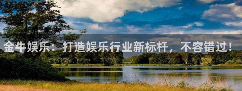 辉达娱乐账号注册入口：金牛娱乐：打造娱乐行业新标杆，不容错过！