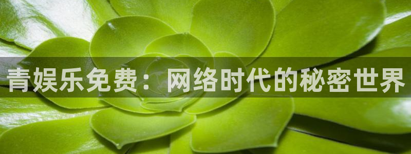 辉达娱乐体育热门赛事有哪些：青娱乐免费：网络时代的秘密世界