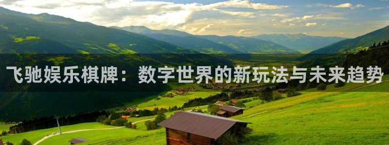 辉达娱乐2平台注册：飞驰娱乐棋牌：数字世界的新玩法与未来趋势