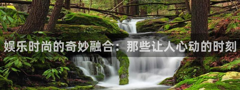 辉达娱乐：娱乐时尚的奇妙融合：那些让人心动的时刻
