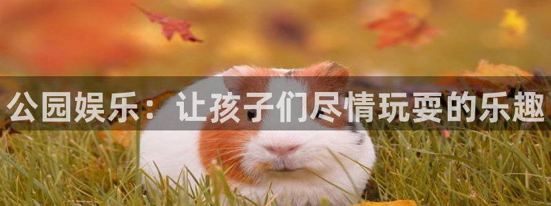 辉达娱乐加拿大下载：公园娱乐：让孩子们尽情玩耍的乐趣