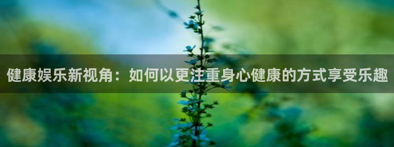 辉达娱乐代理