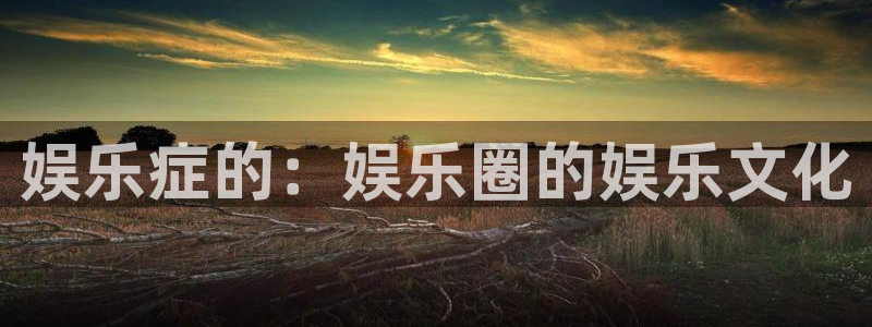 辉达娱乐体育和杏耀是哪个公司的：娱乐症的：娱乐圈的娱乐文化