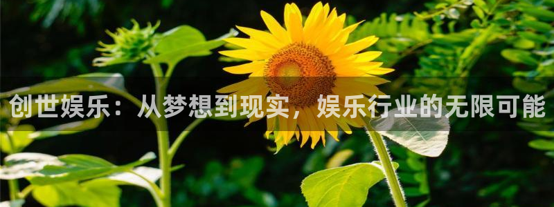 辉达娱乐5注册：创世娱乐：从梦想到现实，娱乐行业的无限可能