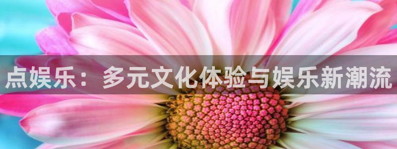 辉达娱乐主管：点娱乐：多元文化体验与娱乐新潮流