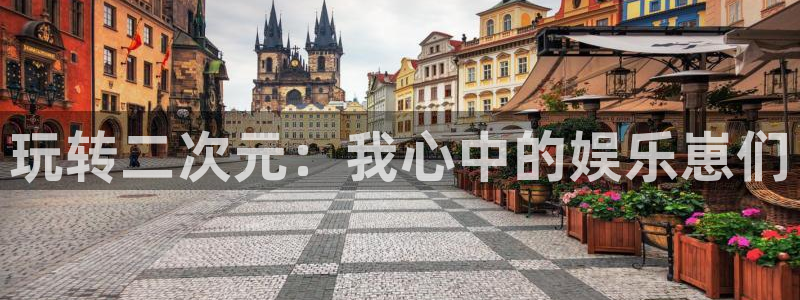 辉达娱乐体育f开户：玩转二次元：我心中的娱乐崽们