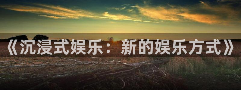 成都辉达娱乐电子有限公司：《沉浸式娱乐：新的娱乐方式》