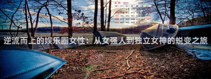 辉达娱乐平台注册：逆流而上的娱乐圈女性：从女强人到独立女神的蜕变之旅