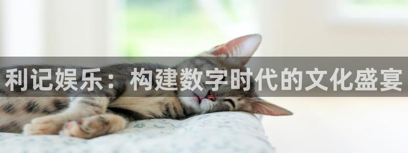 辉达娱乐体育注册：利记娱乐：构建数字时代的文化盛宴