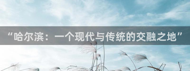 辉达娱乐平台下载入口：“哈尔滨：一个现代与传统的交融之地”