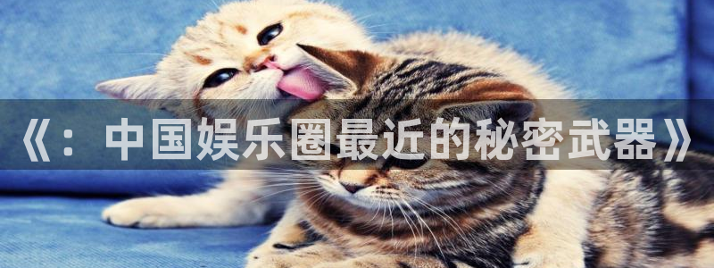 辉达娱乐3代理：《：中国娱乐圈最近的秘密武器》