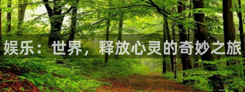 辉达娱乐平台注册：娱乐：世界，释放心灵的奇妙之旅