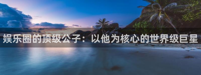 南宫辉达娱乐官网版：娱乐圈的顶级公子：以他为核心的世界级巨星