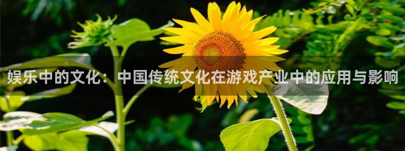 南宫辉达娱乐官网下载链接：娱乐中的文化：中国传统文化在游戏产业中的应用与影响