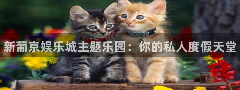 辉达娱乐体育官网登录：新葡京娱乐城主题乐园：你的私人度假天堂