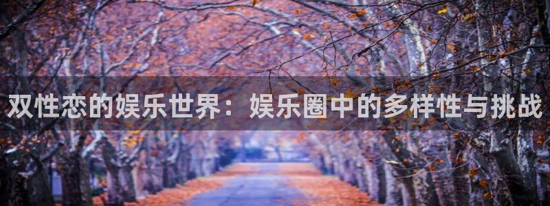 辉达娱乐下载官网入口在哪：双性恋的娱乐世界：娱乐圈中的多样性与挑战