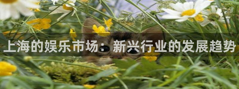 辉达娱乐官网入口：上海的娱乐市场：新兴行业的发展趋势