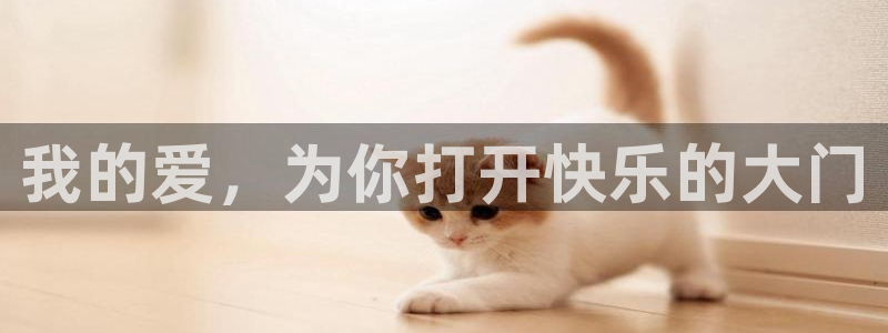 辉达娱乐平台在线注册：我的爱，为你打开快乐的大门