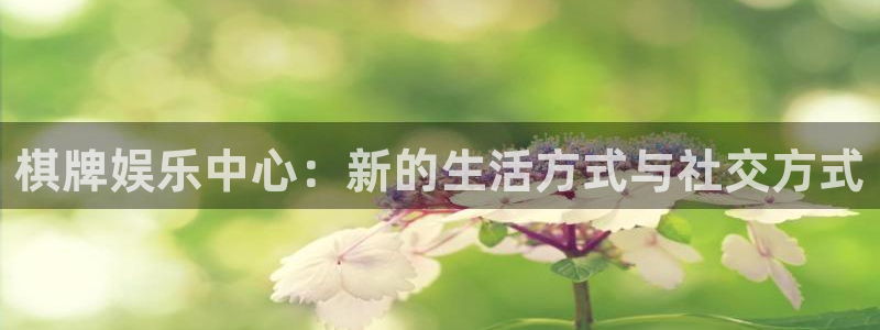 辉达娱乐3官网：棋牌娱乐中心：新的生活方式与社交方式