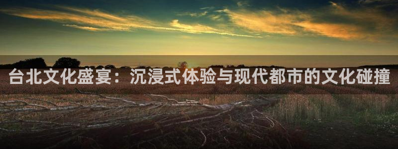 辉达娱乐股份：台北文化盛宴：沉浸式体验与现代都市的文化碰撞