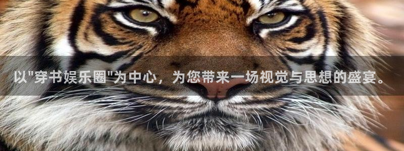 辉达娱乐游戏有哪些好玩的：以\