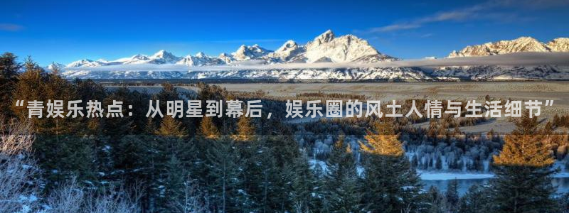 辉达娱乐包怎么样：“青娱乐热点：从明星到幕后，娱乐圈的风土人情与生活细节”