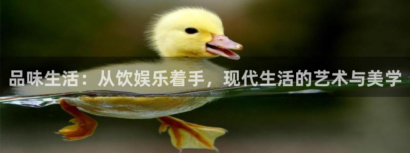 辉达娱乐4登录：品味生活：从饮娱乐着手，现代生活的艺术与美学