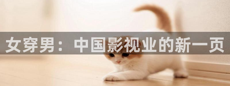 辉达娱乐4平台：女穿男：中国影视业的新一页