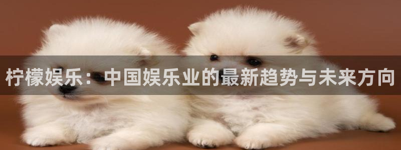 辉达娱乐电子游戏网页版：柠檬娱乐：中国娱乐业的最新趋势与未来方向