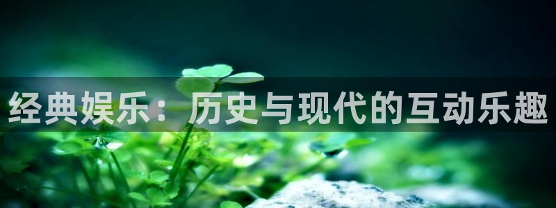 辉达娱乐官网：经典娱乐：历史与现代的互动乐趣