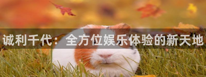 辉达娱乐游戏官网版：诚利千代：全方位娱乐体验的新天地