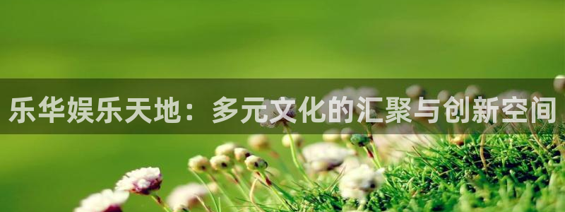 辉达娱乐体育官网注册：乐华娱乐天地：多元文化的汇聚与创新空间