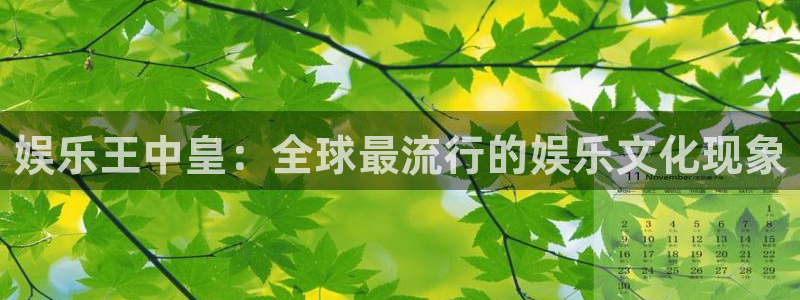 德国辉达娱乐集团：娱乐王中皇：全球最流行的娱乐文化现象
