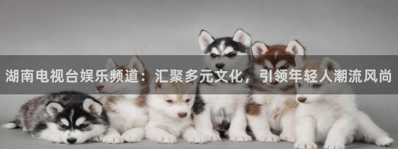 辉达娱乐官网下载：湖南电视台娱乐频道：汇聚多元文化，引领年轻人潮流风尚