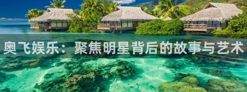 辉达娱乐3：奥飞娱乐：聚焦明星背后的故事与艺术