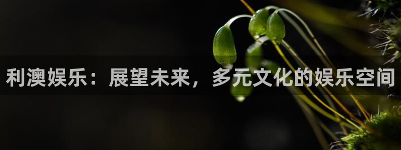 辉达娱乐登录：利澳娱乐：展望未来，多元文化的娱乐空间