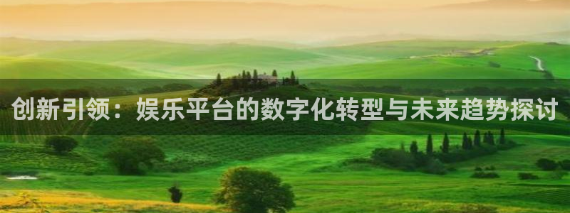 辉达娱乐官网注册：创新引领：娱乐平台的数字化转型与未来趋势探讨